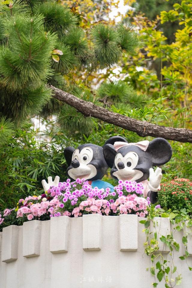 2025武汉菊展17大展区地点官宣！超全赏花攻略+亮点抢先看→