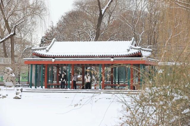 北京全城等雪来！故宫约不上？这些地方随手一拍也是大片——