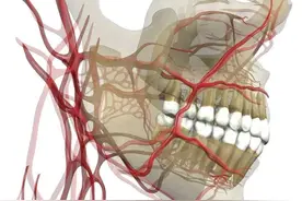 鼻子旁边长痘不能挤，是真是假？医生：其实是这样的……图片