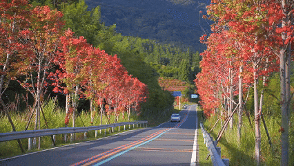 来赣州，赏景、观枫，写首秋日的诗......