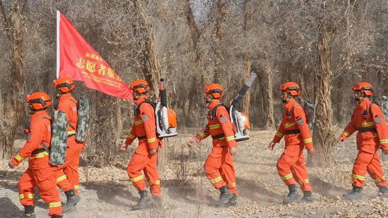 从“沙魔逼林”到“林海锁沙”：巴楚夏马勒胡杨林的生态蜕变