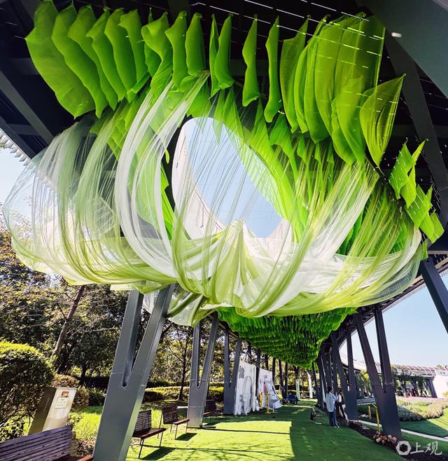 场面｜多变“奶龙”潜入花海：浦江郊野公园秋季花展开启