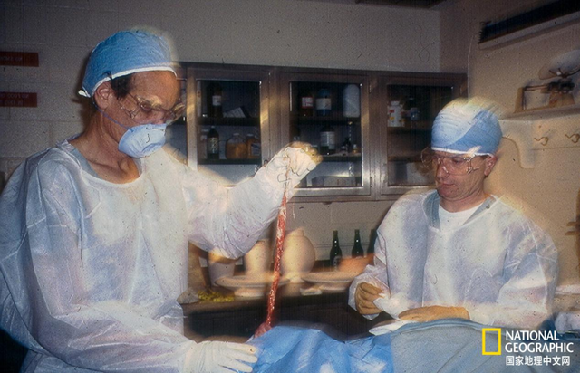 将脑子搅成浆，把器官放进罐子......他们参照古埃及文献成功复制了一具木乃伊