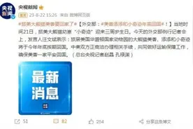外交部：旅美大熊猫美香、添添和小奇迹将于今年年底按期回国图片