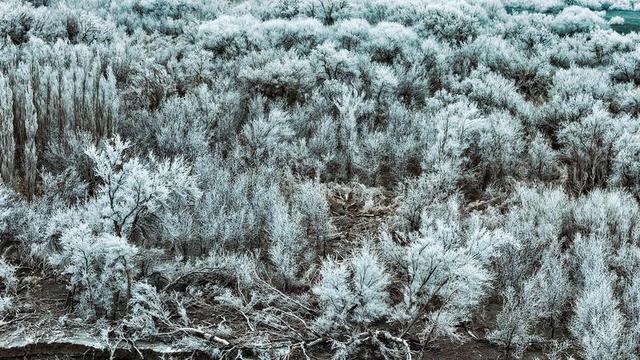新疆托克逊县天山红河谷现雾凇景观 玉树琼枝映赤壁