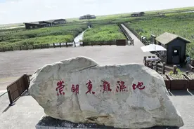 上海第一个“世界遗产”！为什么是崇明东滩？图片