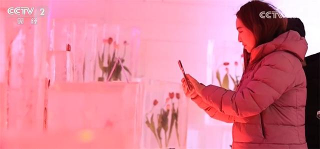 “冰雪游”“乡村游”“赏花游”、非遗巡游个个都精彩 欢天喜地乐享活力中国年