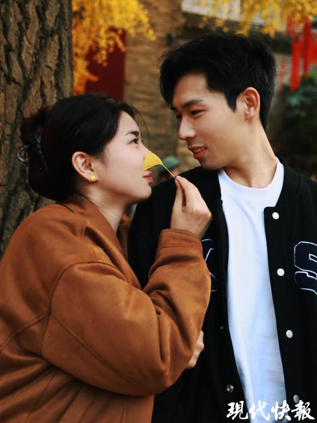 雌雄同株，500岁银杏树藏身徐州历史文化街区