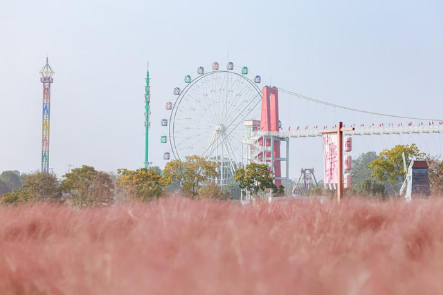簪花舞+杂耍秀！沉浸式解锁花博汇秋冬限定浪漫