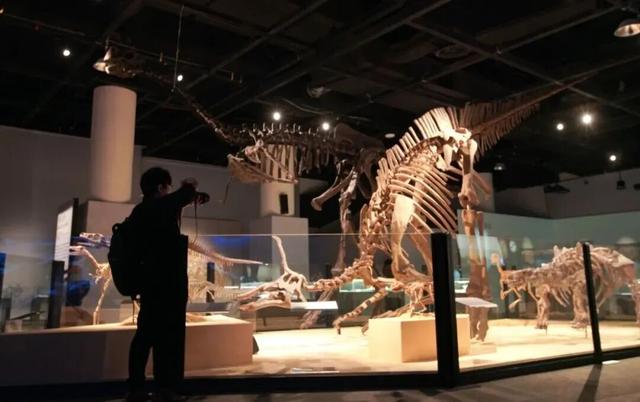 市中心赏梅季到了，免费打卡200余株梅花！这条路线打包冬日惊喜→