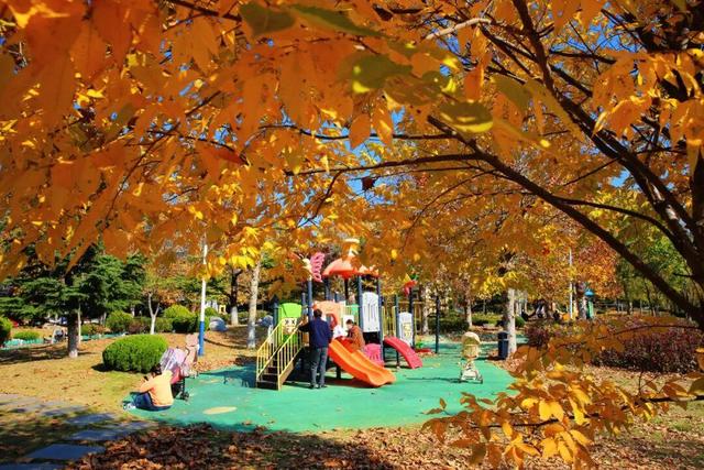 还在找威海初冬小众打卡地？这条河岸藏着惊喜