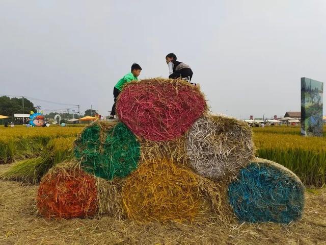 秋日限定，太仓这里超好玩！