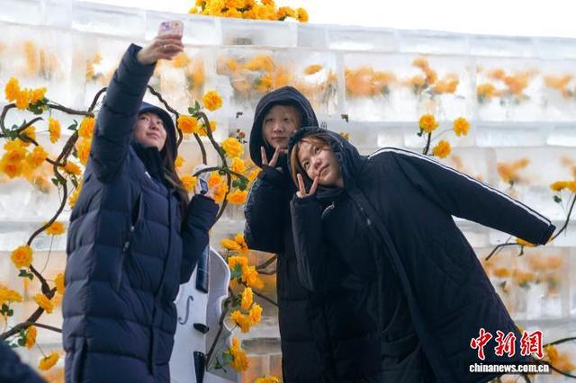 黑龙江哈尔滨：“冰封玫瑰”限定回归