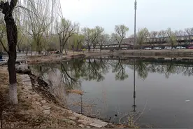 节约用水条例即将实施，具体规定了哪些内容？图片
