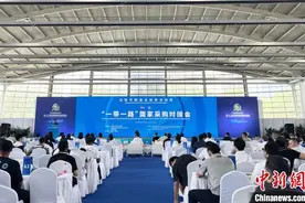 百余家境外采购商与辽企对接洽谈 携手共建“一带一路”图片