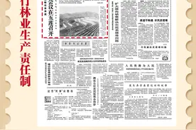 75年75件事·党报版面里的山东印记｜1982年：山东实行林业生产责任制图片