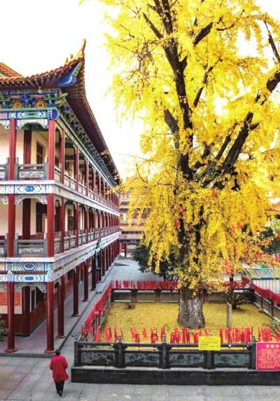 寻找荆州最美之秋 这些打卡地藏着秋日限定浪漫