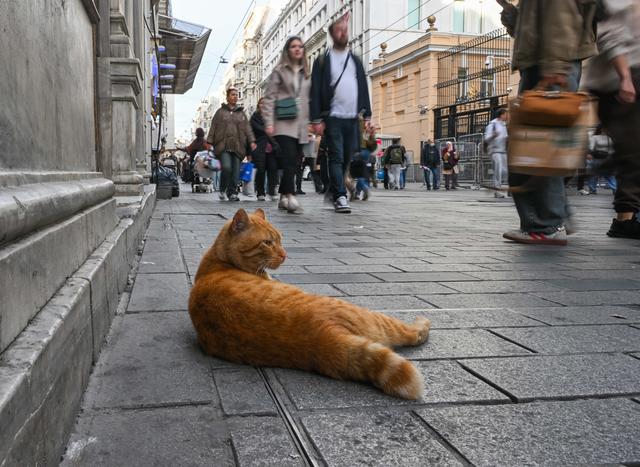 繁华的伊斯坦布尔独立大街