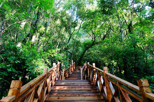 冬天来了，去弥勒，泡温泉，喝羊汤！