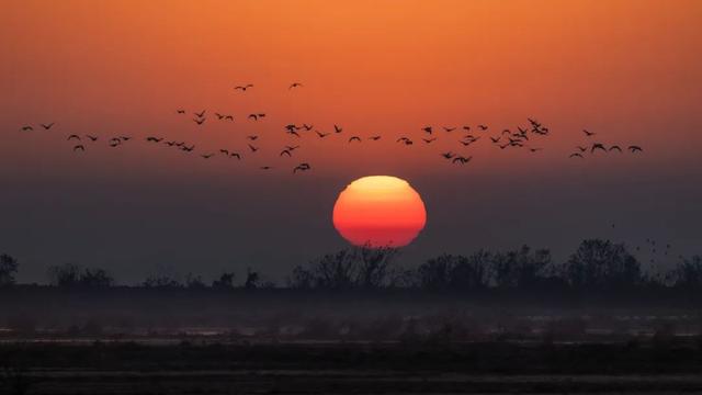 登滕王阁，遇见“物华天宝、人杰地灵”的江西！