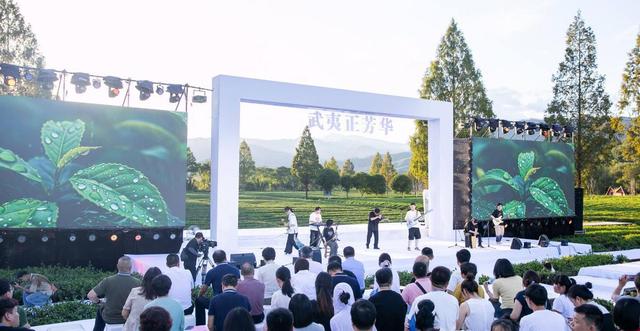 “三茶”统筹展新韵 人在草木品芳华 2025武夷山茶园文化季暨两山青年嘉年华在福建武夷山举行