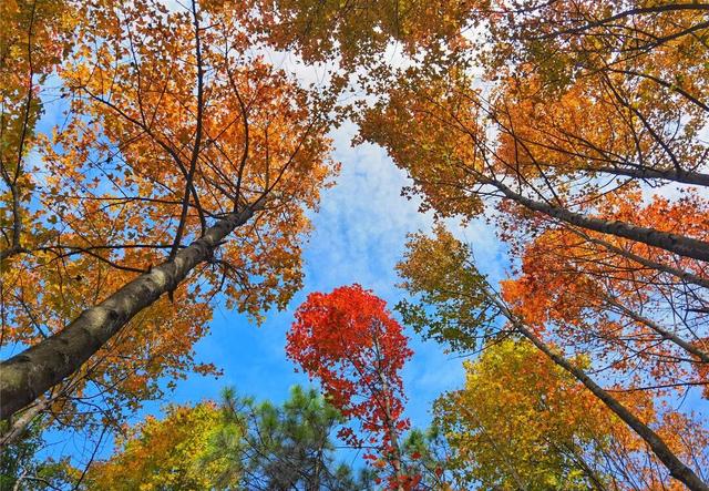 别眨眼，接下来的新干是这样的→