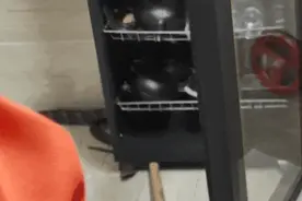 2米剧毒眼镜王蛇“住”民宿，还“爱”上了消毒柜？图片