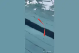 杭州一游泳馆出现排泄物？馆方：小孩没控制住，已闭馆换水图片