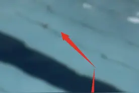 杭州一游泳馆出现排泄物？馆方：小孩没控制住，已闭馆换水图片