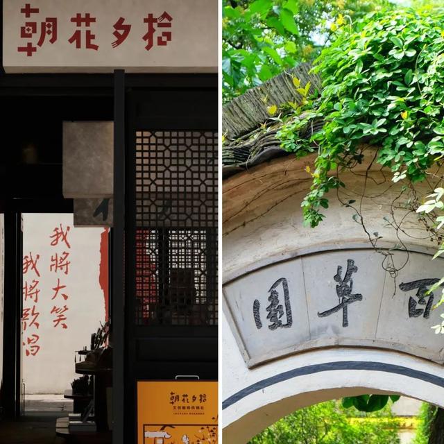 遛娃自由！玩水自由！这座千年水城的夏天，每一帧都是童年最美的模样！
