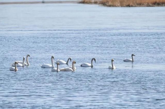 北京最美落日新地标
