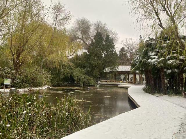 初雪覆城 “碧沙”入画