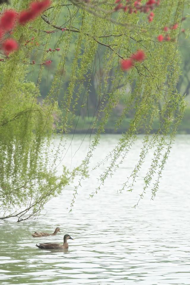 四时天工 扬州如画