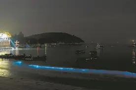 石狮惠安现唯美“蓝眼泪” 泉州近期雷雨频繁图片