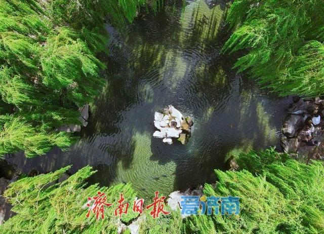 29米水位线触发月牙泉复涌，济南72名泉全面苏醒