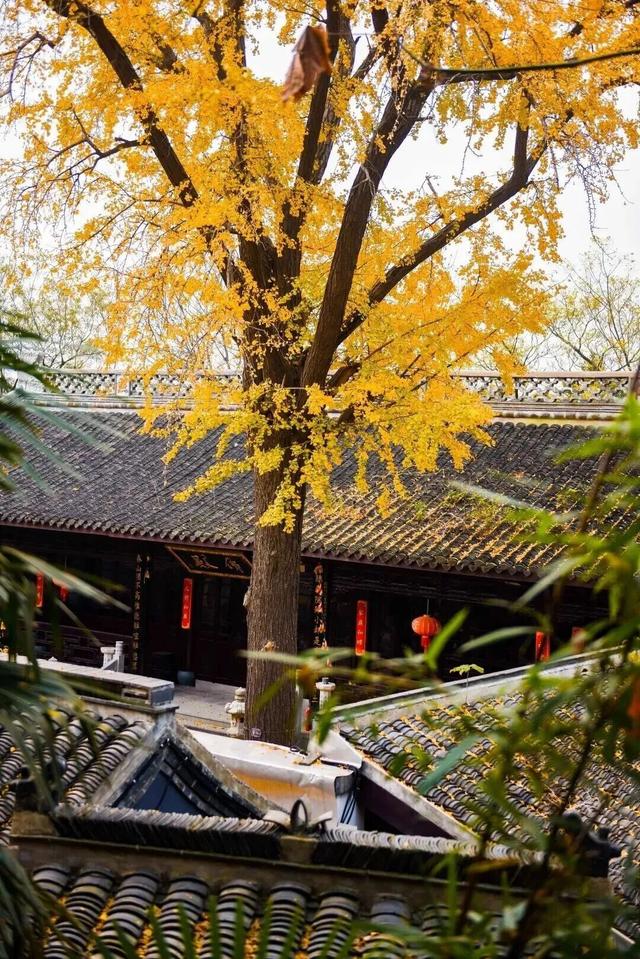 接下来，是这样的海陵