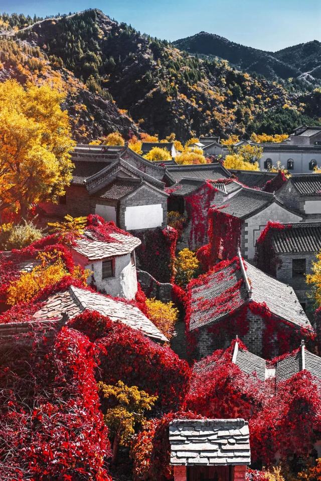 快来看！建筑配上秋叶绝美