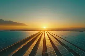 光伏行业群像：既有黯然离场，也有奋力自救图片