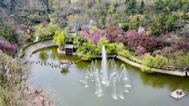藏身市北的绿意片场，正在低调出圈