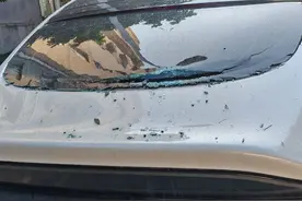 男子为泄私愤，竟从11楼抛下白酒瓶？上海警方：刑拘！图片