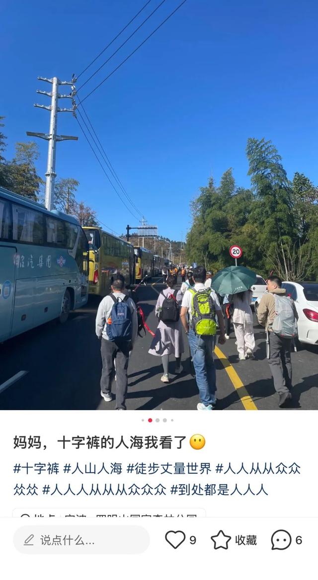 最近的上海城巴佬，周未爬山都要排大队了?