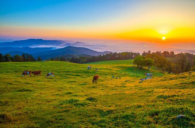 倒计时5天！“乘着高铁游白山”——白山文旅（北京）推介会即将启程