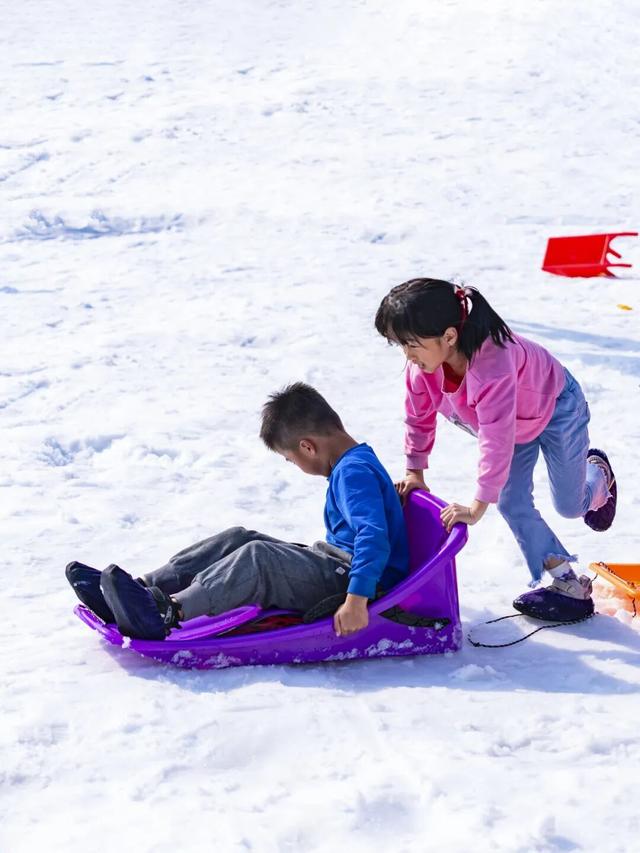 森林雪国今日开业！户外玩真雪就到高明！