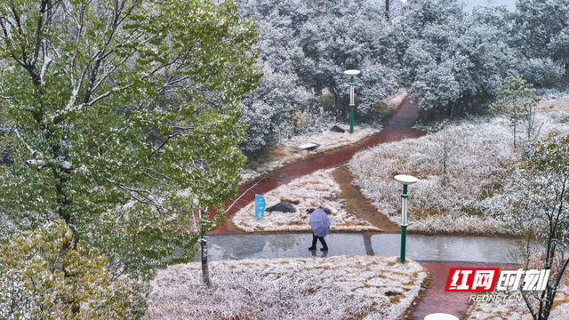 组图 | 资兴：一湾江雪醉游人