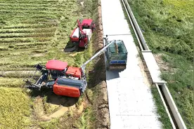 宣城郎溪：抢收水稻 颗粒归仓图片