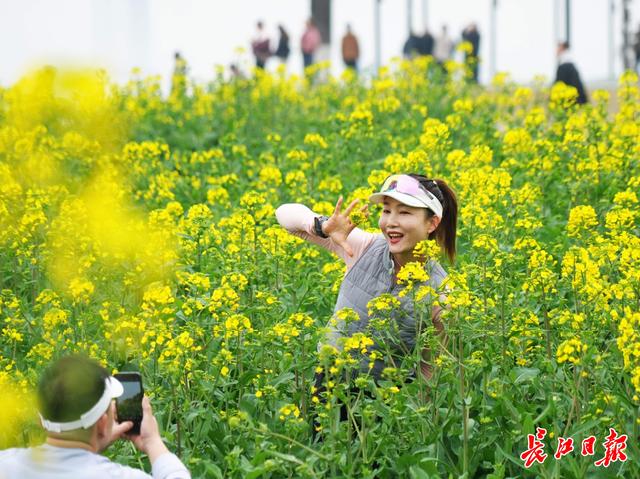 “三八”国际妇女节，灯塔花海游人如织