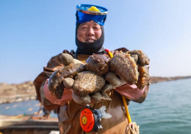 乘着高铁游威海 | 下一站，荣成！