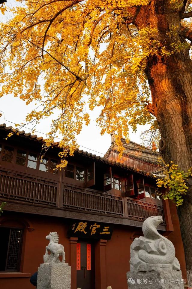 限时绝美！此刻，常州颜值巅峰