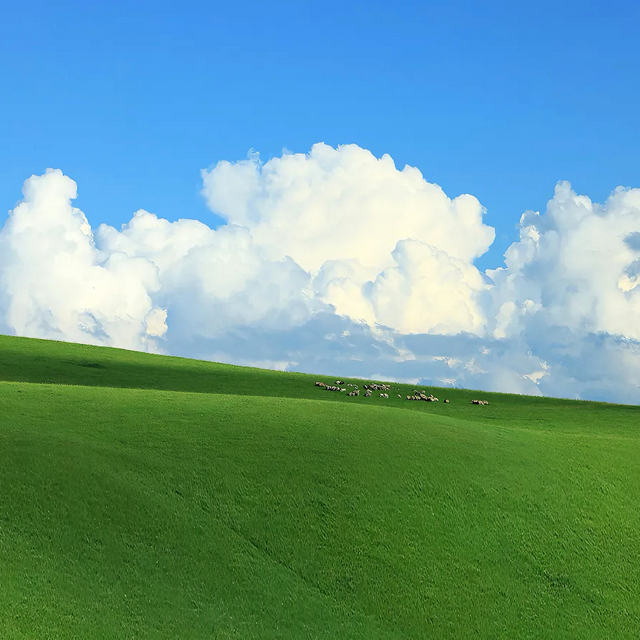 江西秋日自驾天花板，这几条公路带你驶入最美秋色！