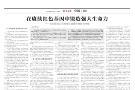 赓续“红色基因” 龙佰集团以高质量党建筑牢发展生命线图片
